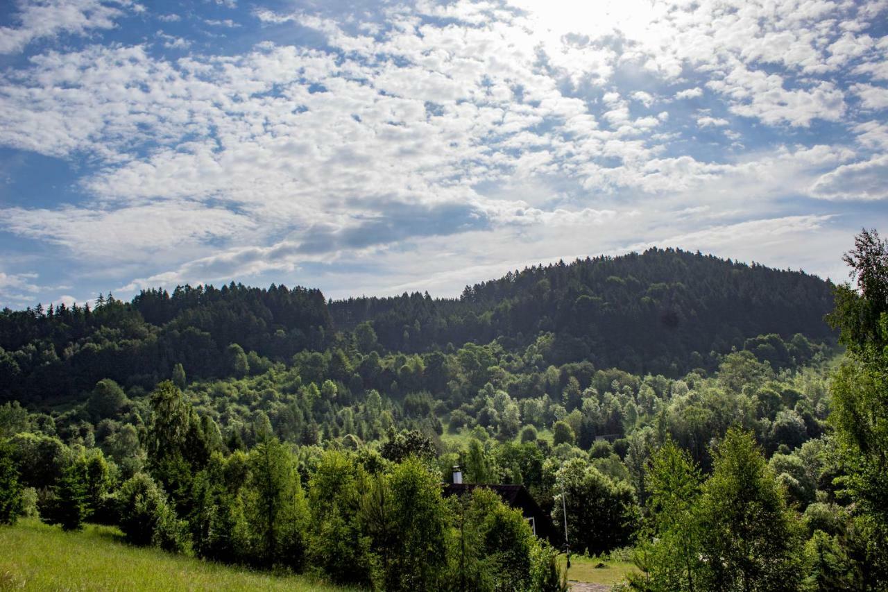 Holiday Villa Stupna Vidochov Eksteriør billede